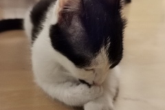 IMG_20200106_202614