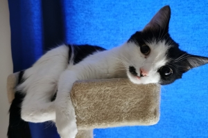 Juli 2020 - Spieglein, Spieglein an der Wand....