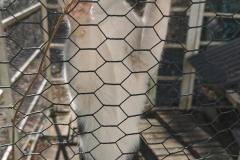 IMG_20200316_143457