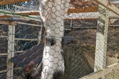 IMG_20200316_143530