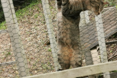 IMG_20200511_172702