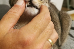 IMG_20200531_212305_1